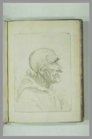 Portrait, image 2/2