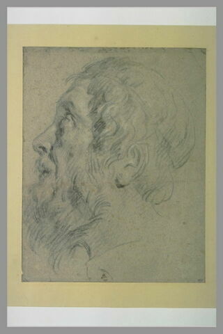 Tête d'homme barbu, de profil à gauche, image 2/2
