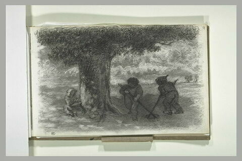 Enfants au pied d'un arbre, image 2/2