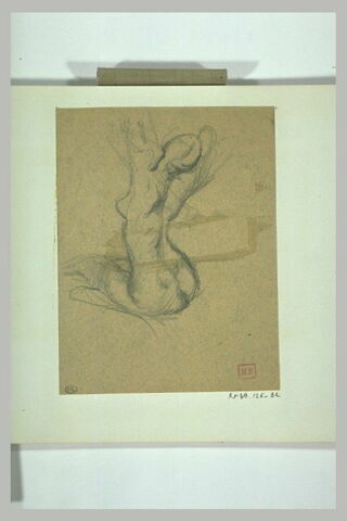 Femme nue assise de dos, levant les bras, et cambrée, image 1/1