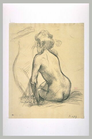 Femme nue, assise, de dos, image 1/1