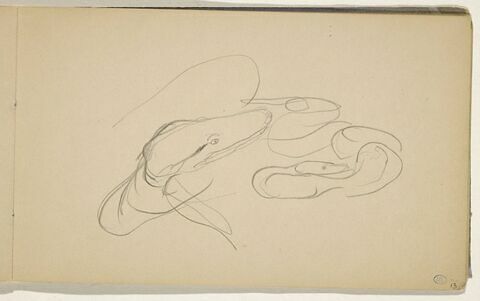 Rapide croquis de deux serpents enroulés, image 1/2
