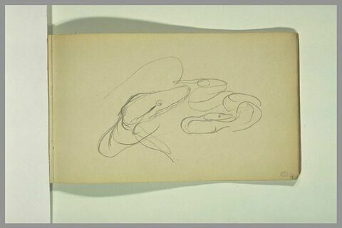 Rapide croquis de deux serpents enroulés, image 2/2
