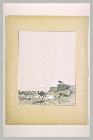 Un lion, sur un rocher, met en fuite un troupeau de chameaux, image 1/2