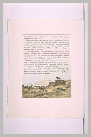 Un lion, sur un rocher, met en fuite un troupeau de chameaux, image 2/2