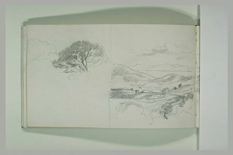 Etude d'arbre ; paysage de collines à Bormes