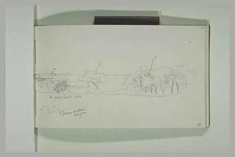 Paysage maritime bordé d'arbres, image 1/2