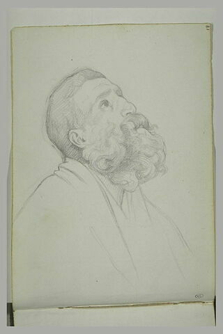 Buste d'homme barbu, vu de profil