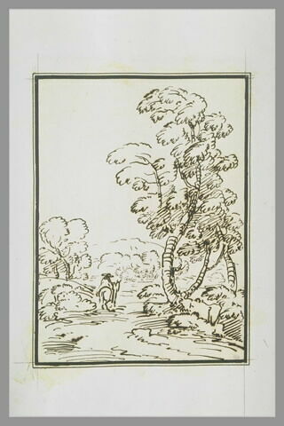 Cavalier avançant sur un chemin bordé d'arbres, image 1/1