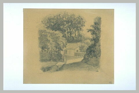 Maisonnette dans les arbres, image 2/2