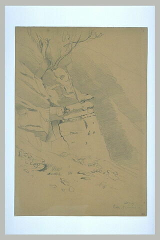 Rochers et arbrisseaux, Basses-Pyrénées, image 2/2