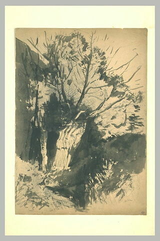 Bouquet d'arbres