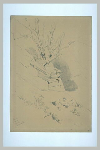 Rochers et arbrisseaux, Basses-Pyrénées, image 2/2