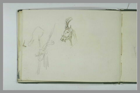 Tête de cheval harnaché ; harnais (?), image 1/1