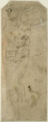 Homme nu debout, image 3/3