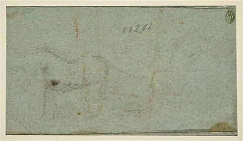 Esquisse d'un cheval, image 1/2