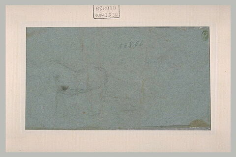 Esquisse d'un cheval, image 2/2