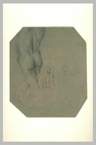 Torse et fesses d'une figure nue, image 1/1