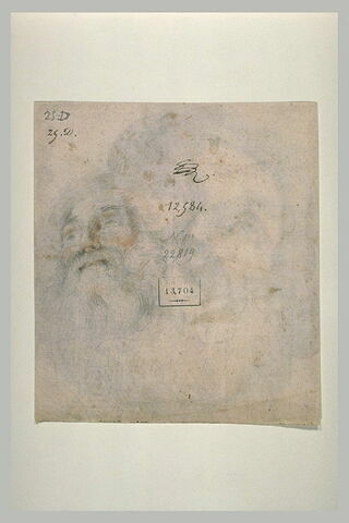 Tête d'homme barbu, les yeux levés, image 1/1