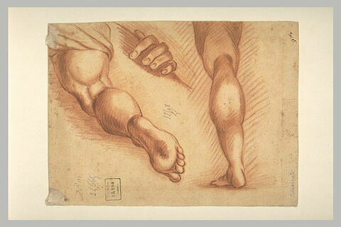 Etude de deux jambes et d'une main, image 1/1