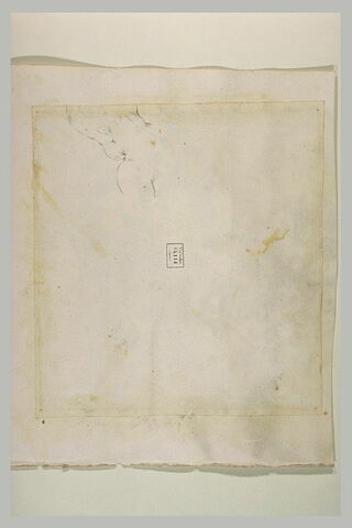 Tête d'enfant, de dos, image 1/1