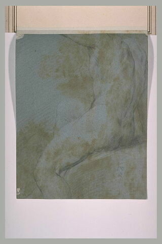 Homme nu, assis, de profil, vers la gauche, image 1/1