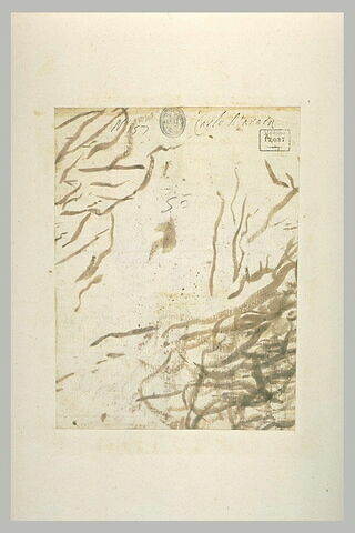 Traits, image 1/1