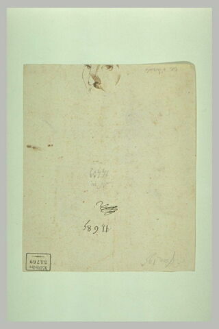 Visage d'un homme moustachu, image 1/1