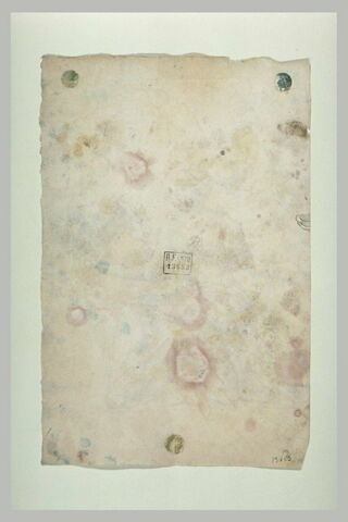 Main tenant un coquillage, image 1/1