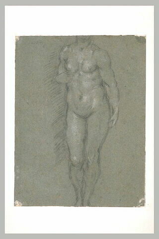 Femme nue, debout, de face, image 2/2
