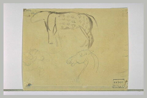 Tête de cheval, et jaguar, image 1/1