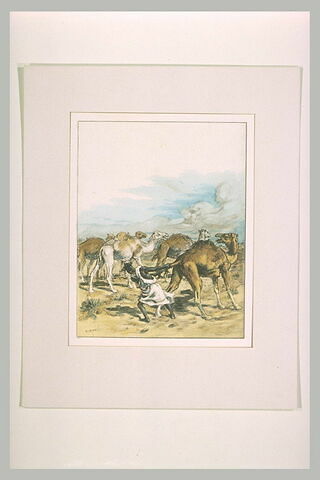 Antar saisissant un chameau par la queue