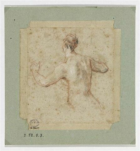 Femme nue, vue de dos, à mi-corps, image 1/5