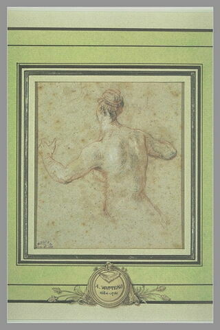 Femme nue, vue de dos, à mi-corps, image 3/5