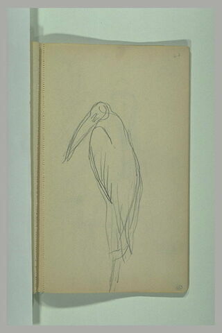 Marabout, image 1/1