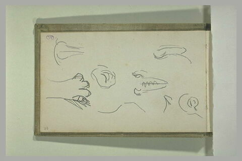 Buste sculpté ; annotation manuscrite, image 1/1
