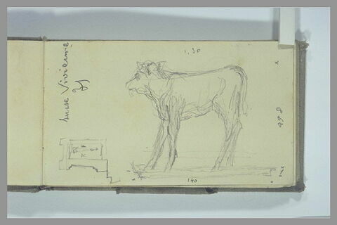 Vache ; croquis ; note manuscrite, image 1/1