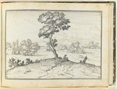 Homme assis sous un arbre dans la campagne à l'horizon bordé de montagnes, image 1/1