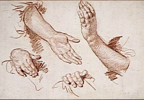 Deux études d'avant-bras et mains gauches et deux de mains droites repliées, image 1/1