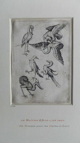 Six oiseaux pour les cartes à jouer du maître, image 1/2