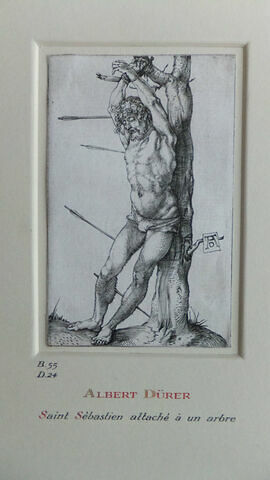 Saint Sébastien attaché à un arbre, image 1/2
