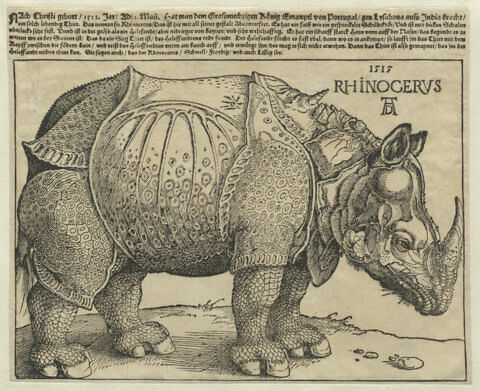 Le Rhinocéros, image 1/3