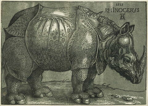 Le Rhinocéros, image 1/1