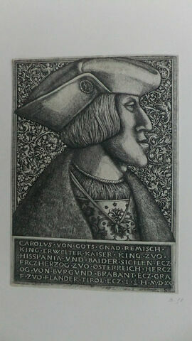 Portrait de Charles V, image 1/2