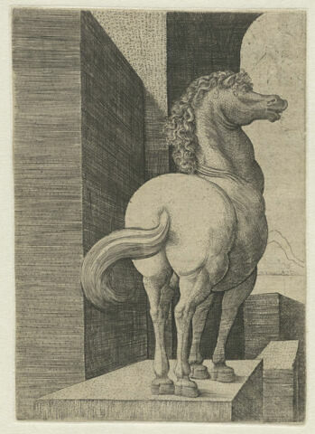Un cheval, image 1/1