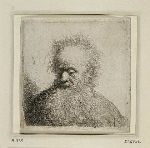 Vieillard à barbe pointue, image 1/1