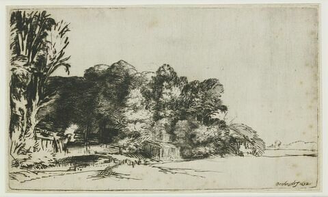 Le bouquet de bois, image 1/1