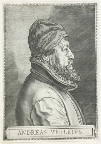 Portrait de André Villejus