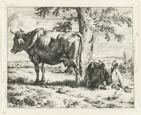 Les deux vaches au pied d'un arbre