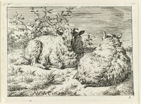 Les deux moutons, image 1/1